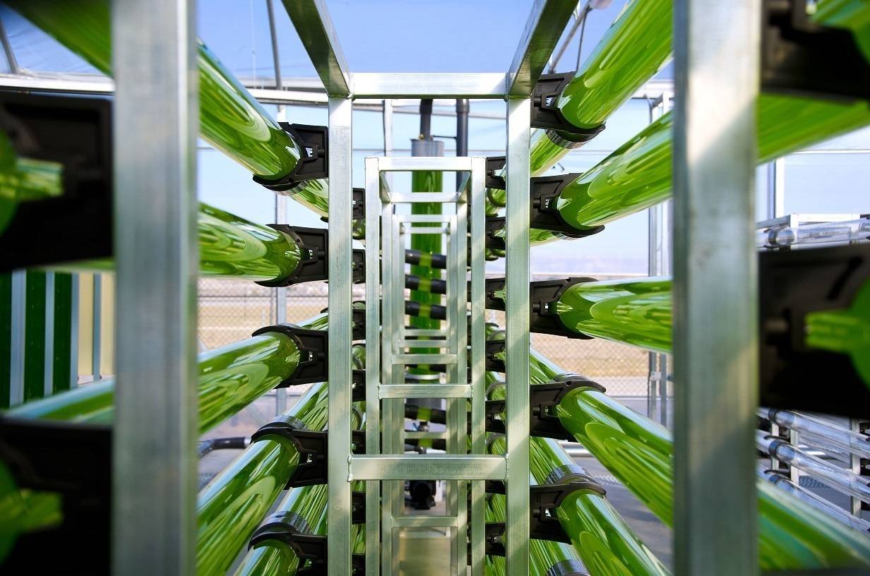 Foto 2. Foto detalle Fotobiorreactor_LR|Foto 1. Biostimulants Europe 2018